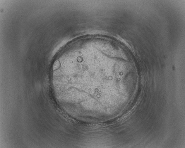 X0000073701263200608311721