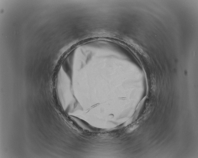 X0000073701264200608311721