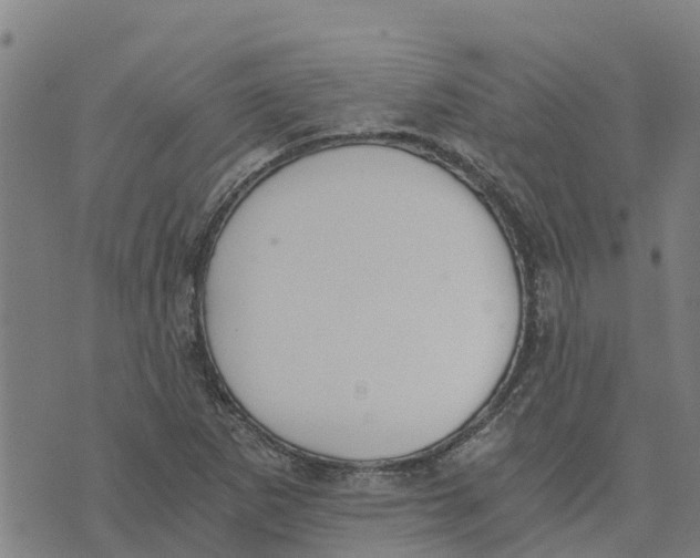 X0000073701265200608311721