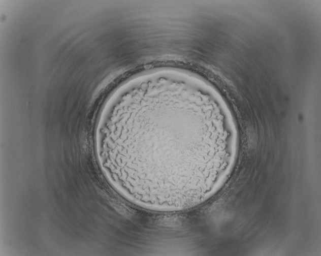 X0000073701266200608311721