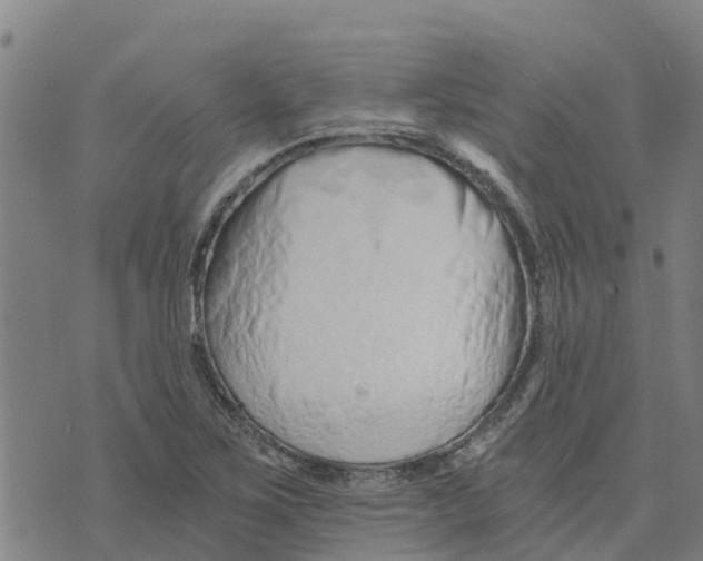 X0000073701267200608311721