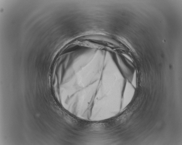 X0000073701268200608311721