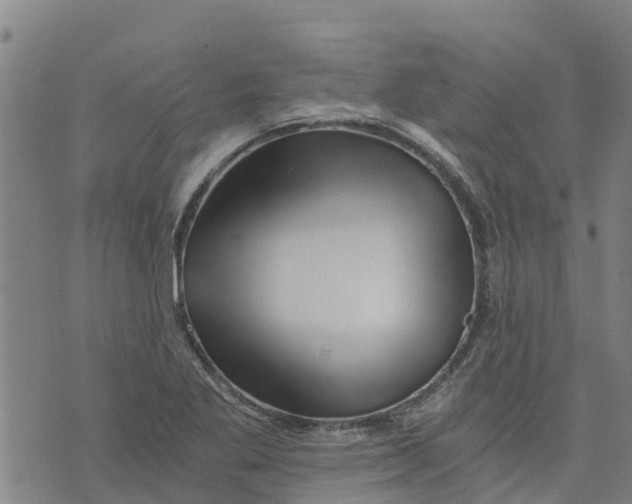 X0000073701269200608311721