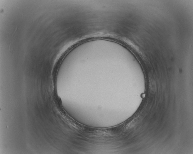 X0000073701270200608311721