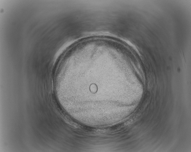 X0000073701271200608311721