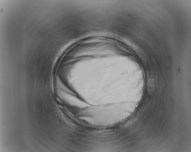 X0000073701272200608311721