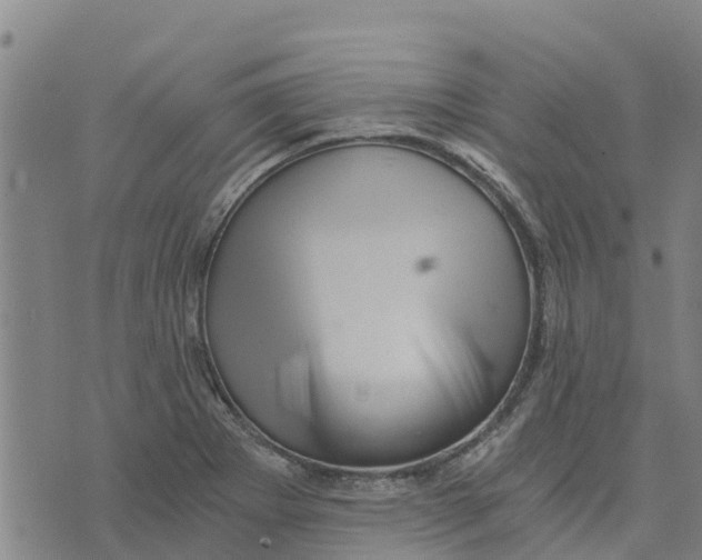 X0000073701273200608311721