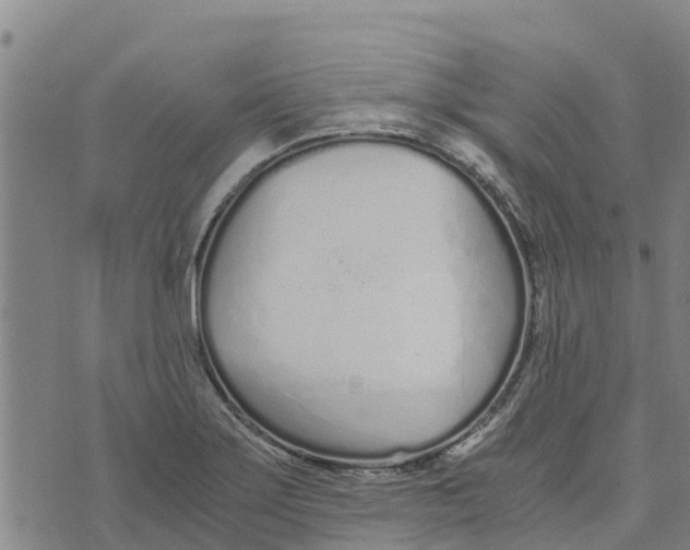 X0000073701275200608311720