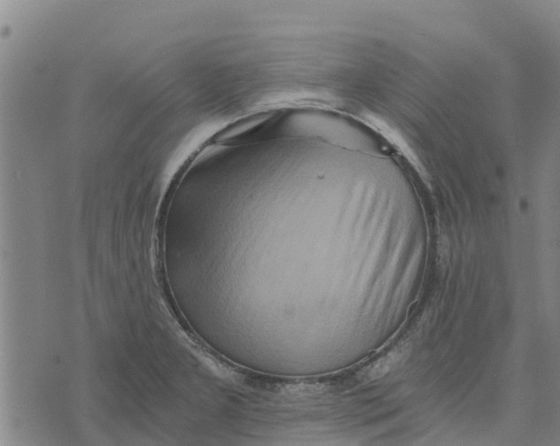 X0000073701277200608311720