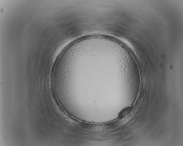 X0000073701279200608311720