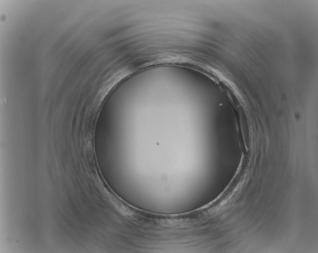 X0000073701281200608311720