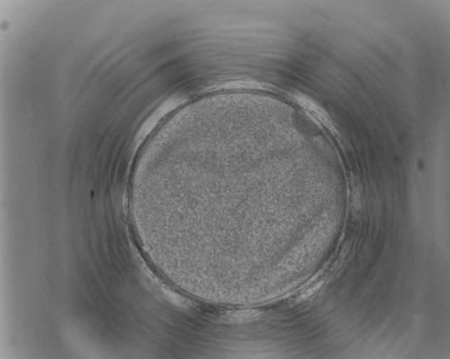 X0000073701282200608311720