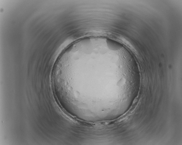 X0000073701283200608311720