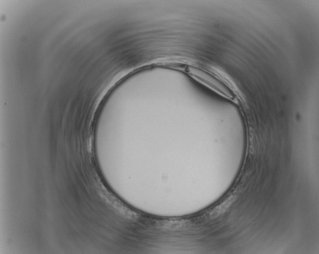 X0000073701284200608311720