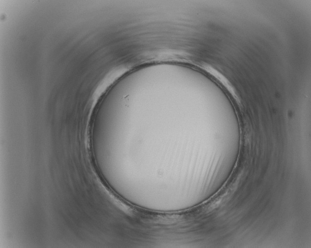 X0000073701285200608311720