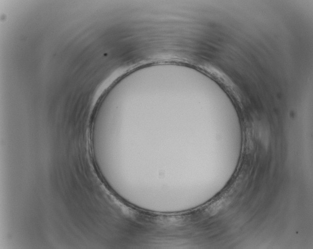 X0000073701286200608311720