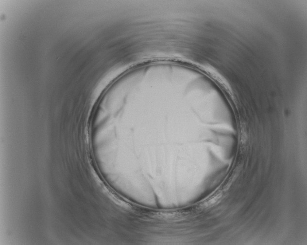 X0000073701287200608311720