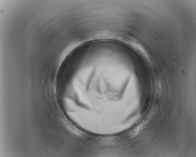 X0000073701288200608311720