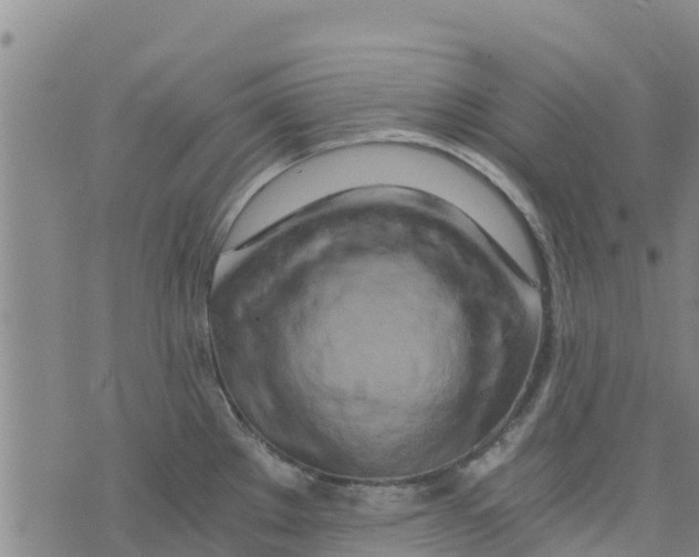 X0000073701289200608311720