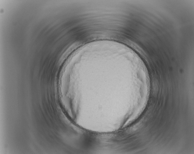 X0000073701290200608311720