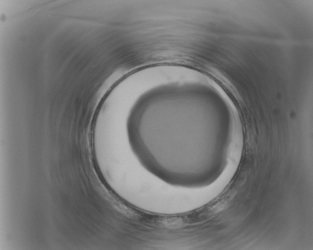 X0000073701291200608311720