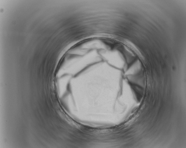 X0000073701292200608311720