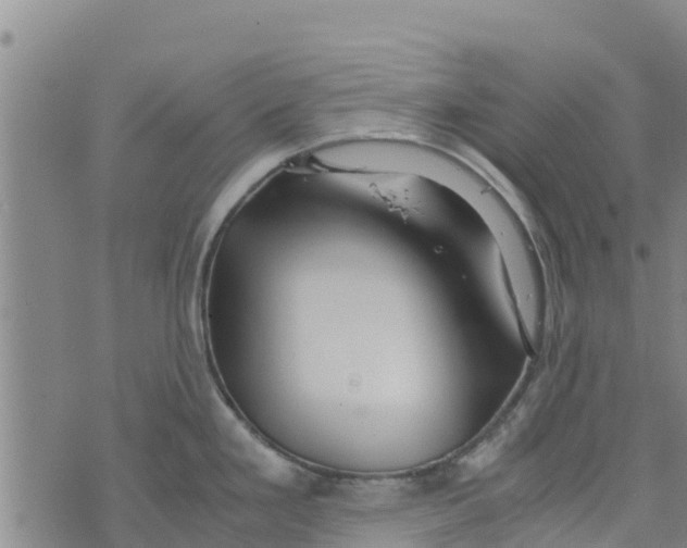 X0000073701293200608311720