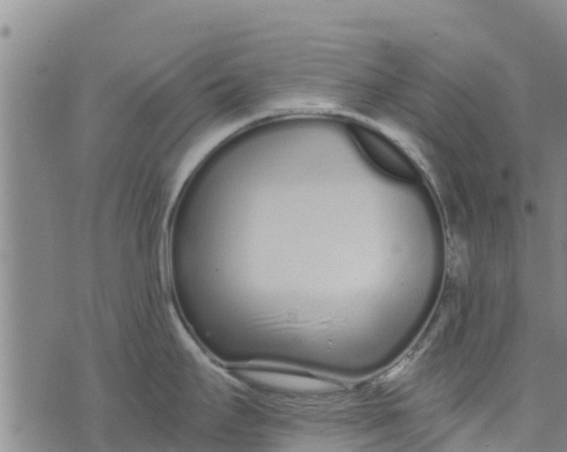 X0000073701295200608311720