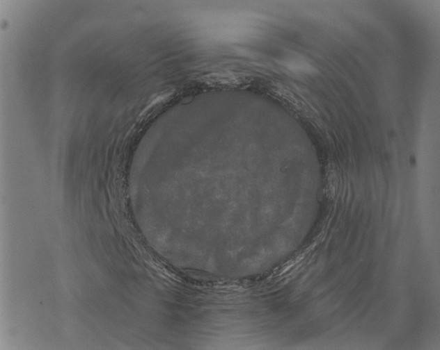 X0000073701297200608311719