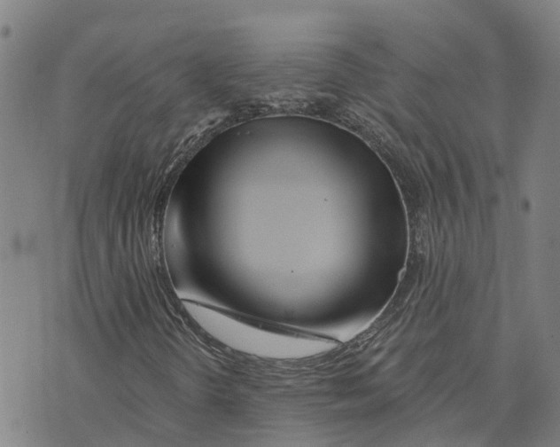 X0000073701298200608311719