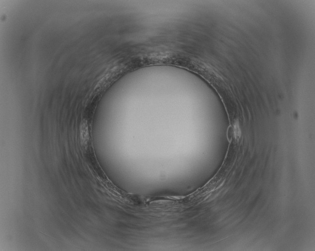 X0000073701299200608311719