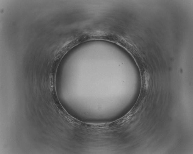 X0000073701301200608311719