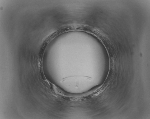 X0000073701302200608311719