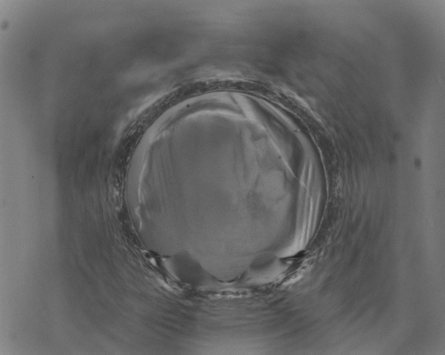 X0000073701303200608311719