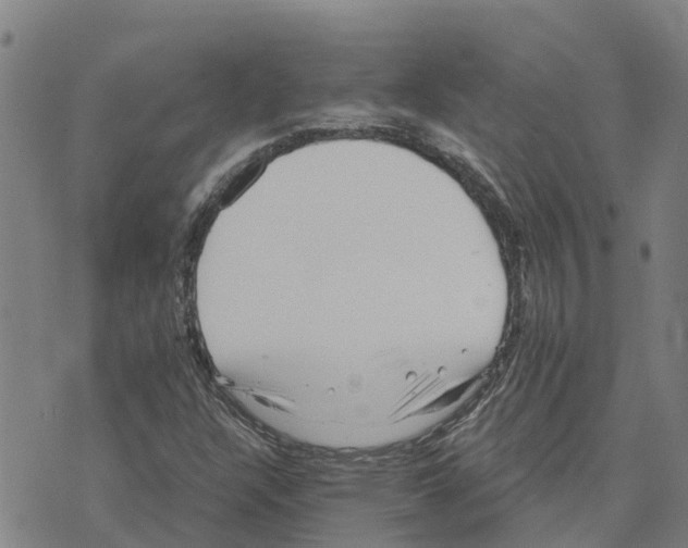 X0000073701304200608311719