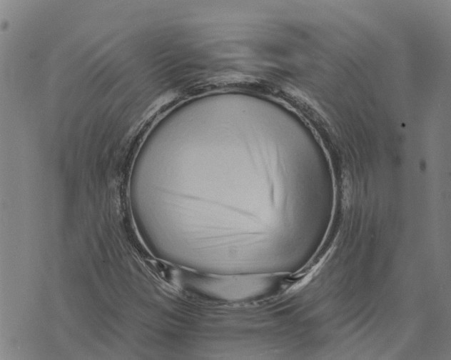 X0000073701305200608311719