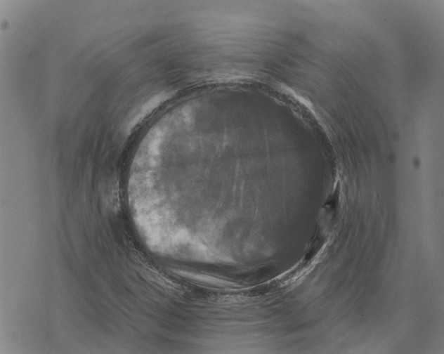 X0000073701306200608311720