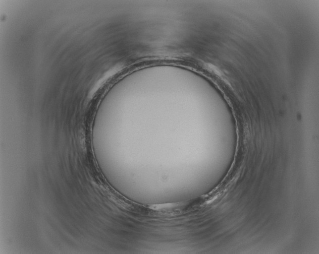 X0000073701307200608311720