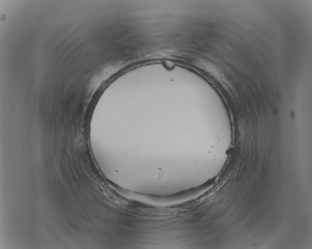 X0000073701308200608311720