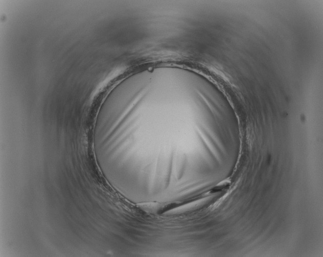 X0000073701309200608311720