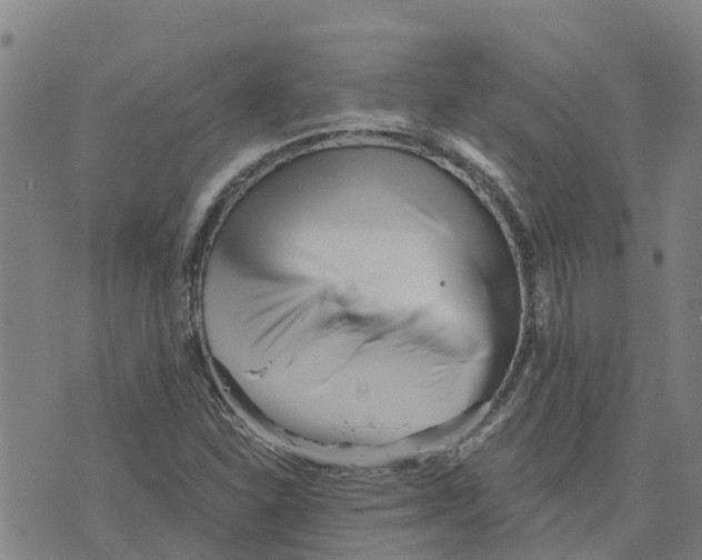 X0000073701310200608311720