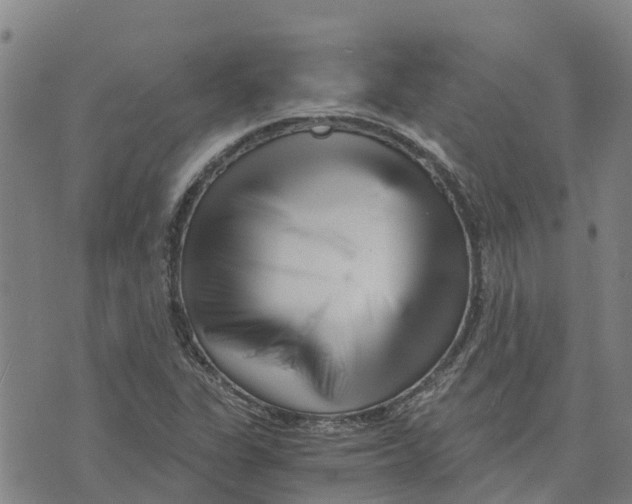 X0000073701311200608311720