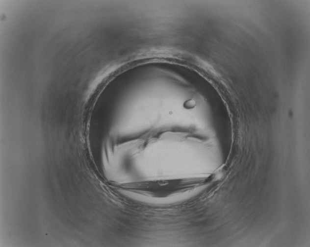 X0000073701312200608311720