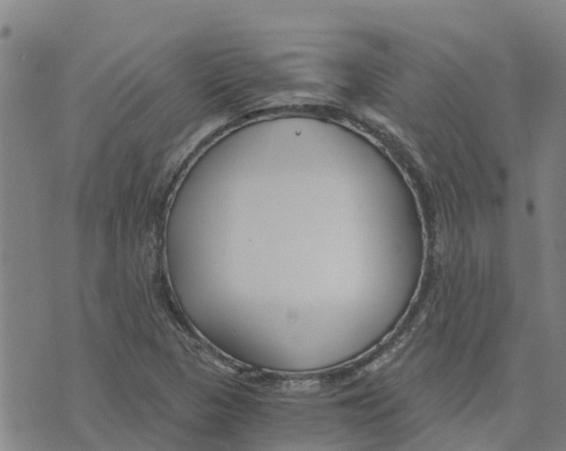 X0000073701313200608311720