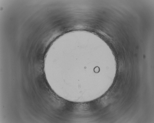 X0000073701314200608311720