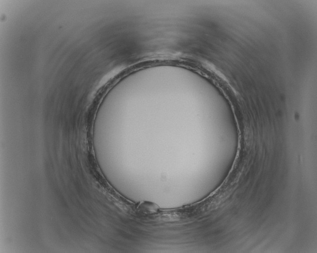 X0000073701315200608311720