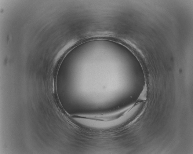 X0000073701317200608311720