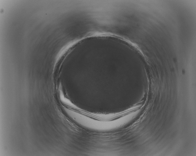 X0000073701319200608311720