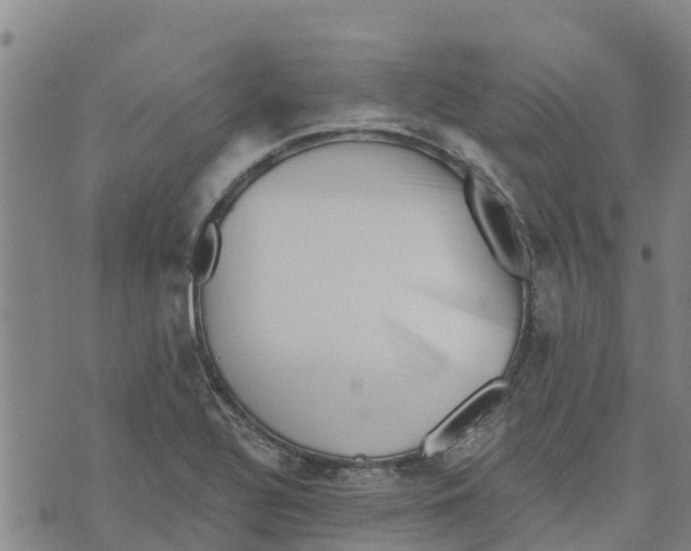 X0000073701320200608311720