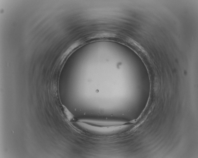 X0000073701321200608311720